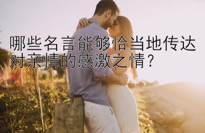 哪些名言能够恰当地传达对亲情的感激之情？