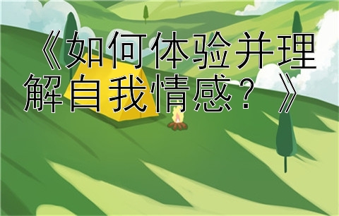 《如何体验并理解自我情感？》