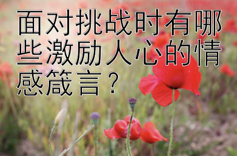 面对挑战时有哪些激励人心的情感箴言？