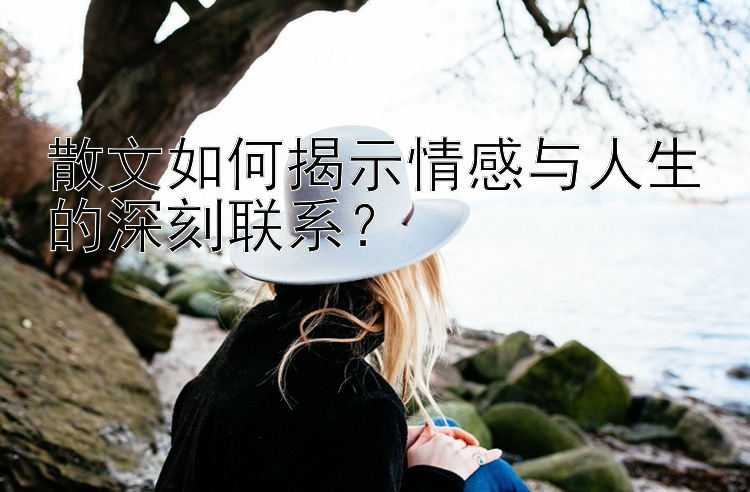 散文如何揭示情感与人生的深刻联系？