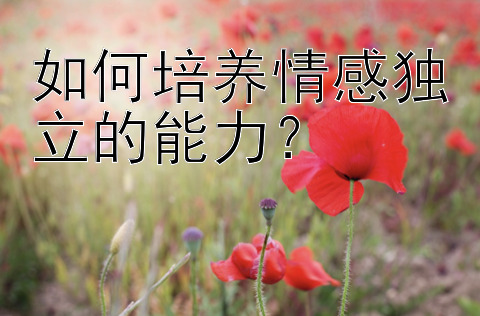 如何培养情感独立的能力？