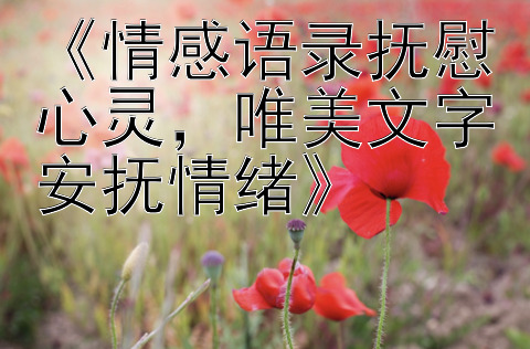 《情感语录抚慰心灵，唯美文字安抚情绪》