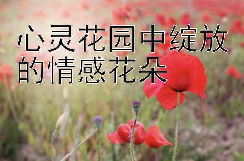 心灵花园中绽放的情感花朵