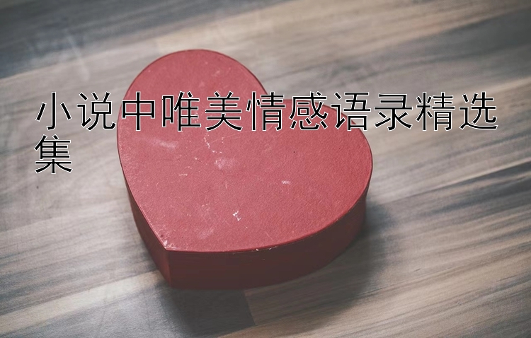 小说中唯美情感语录精选集