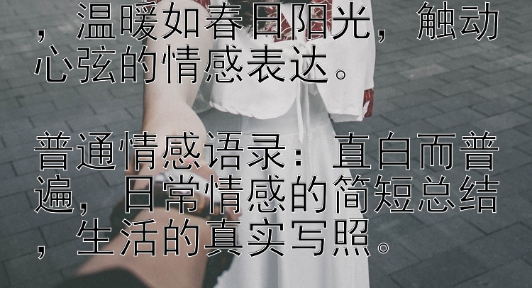 唯美情感语录：细腻如诗，温暖如春日阳光，触动心弦的情感表达。

普通情感语录：直白而普遍，日常情感的简短总结，生活的真实写照。