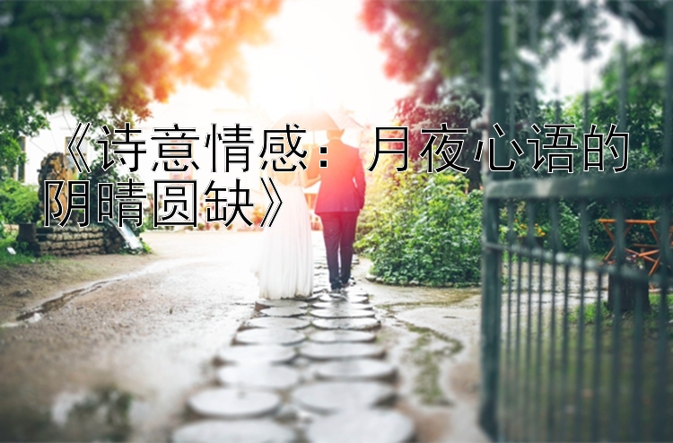 《诗意情感：月夜心语的阴晴圆缺》