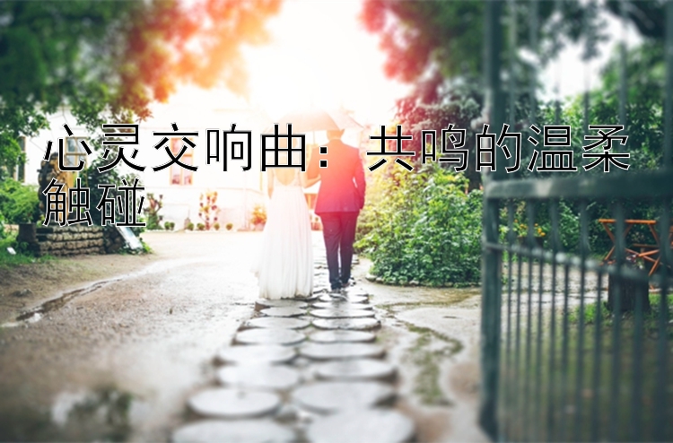 心灵交响曲：共鸣的温柔触碰