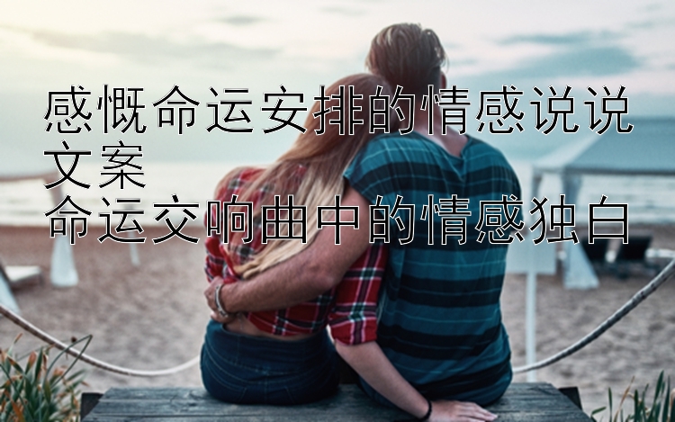 感慨命运安排的情感说说文案
命运交响曲中的情感独白