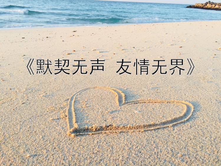 《默契无声 友情无界》