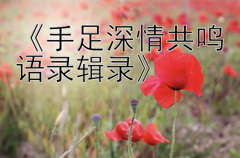 《手足深情共鸣语录辑录》